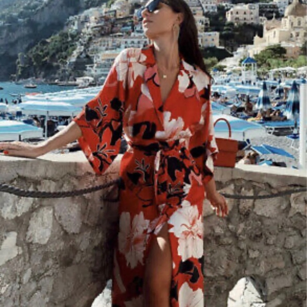 Zara dress